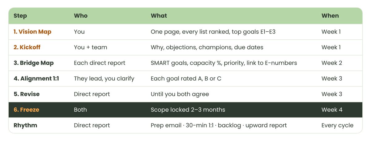 Double Layer Goals summary table: steps, owners and timing
